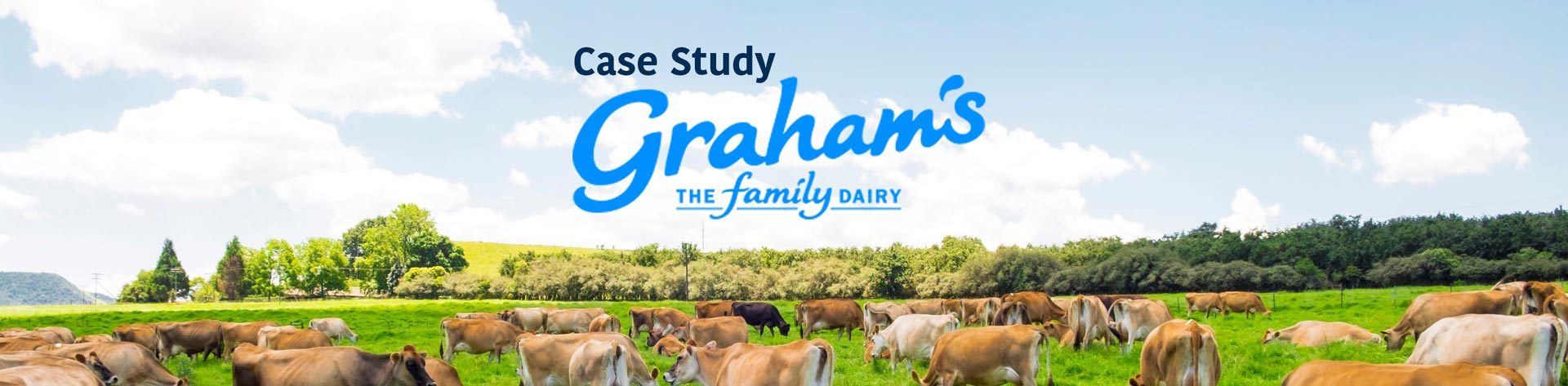 grahams the family dairy article optimize farm operations
